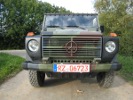 Wolf 250 GD
